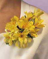 Alstroemeria Corsage