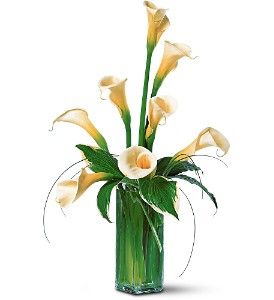 Aniversary White Callas Flowers bouquet