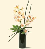 Artful Orchids 