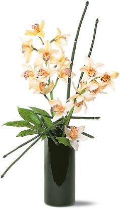 Artful Orchids