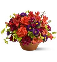 Autumn Celebration Autumn Celebration