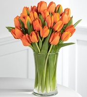 Autumn Fire Tulip Bouquet Autumn Fire Tulip Bouquet