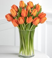  Autumn Fire Tulip Bouquet