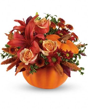 Autumn's Joy 