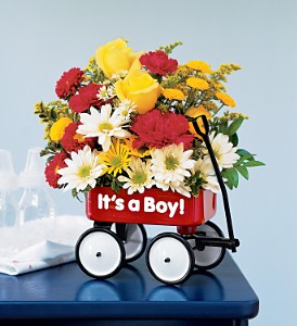 Baby's First Wagon - 