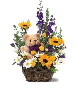  Basket and Bear