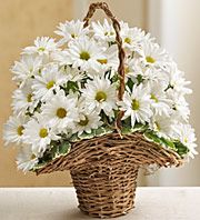 Basket Full of Daisies
