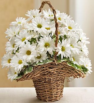 Basket Full of Daisies