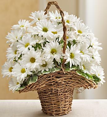 Basket Full of Daisies