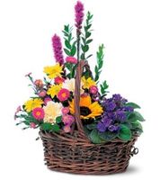 Basket of Glory Basket of Glory