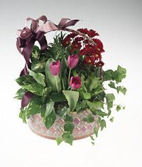 Basket of green and Lavender blooming plants