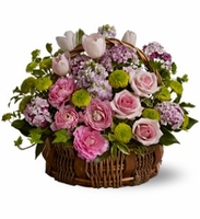 Bella Blooms Bella Blooms