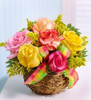 Birds Nest Basket of Roses Birds Nest Basket of Roses