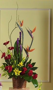 Birds Of Paradise Basket Sympathy