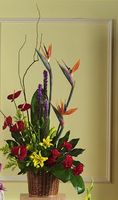 Birds Of Paradise Basket Sympathy
