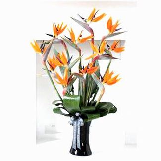 Birds of paradise bouquet