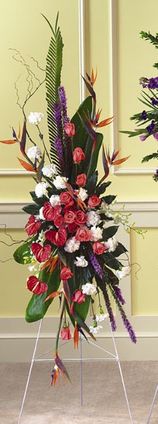 Birds of paradise Standing spray