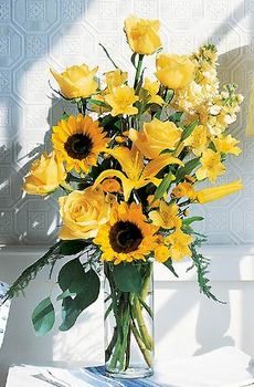 Blazing Sunshine