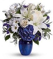  Blue Flowers