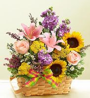 Bountiful Basket Bountiful Basket