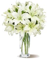 Bright White Lilies Bright White Lilies