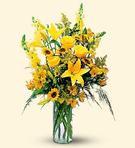 Burst of Yellow