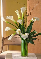 Calla Lilies