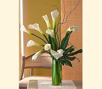 Calla Lillies