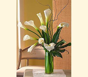 Calla Lillies