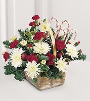 Candy Cane Lane Arrangement