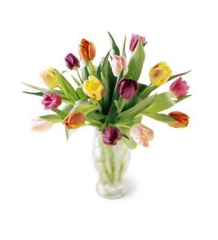 Carnival tulips Bouquet