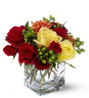 Carousel Roses 