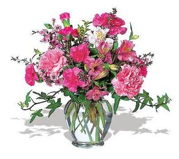 Cheerful Carnations