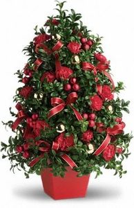 Christmas Flowers Gifts