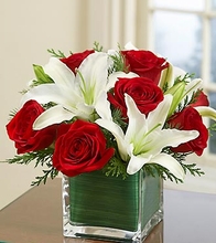 Christmas Flowers- Mixed Arrangements