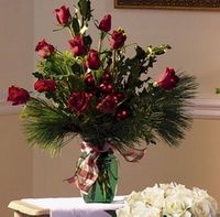 Christmas Rose and Holly Christmas Rose and Holly
