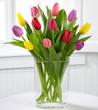 Colorful Living Tulip Bouquet 