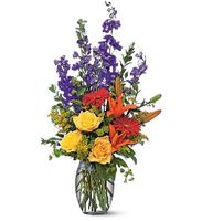 Colorful Sensation flowers