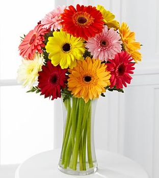 Colorful World Gerbera Daisy Bouquet
