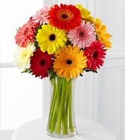 Colorful World Gerbera Daisy Bouquet