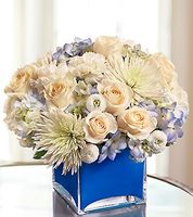 Colors of Love - Blue 