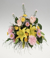 Container arrangement in pastel colors.