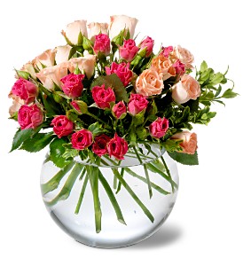 Crimson & Coral Roses 