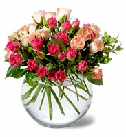 Crimson & Coral Roses 