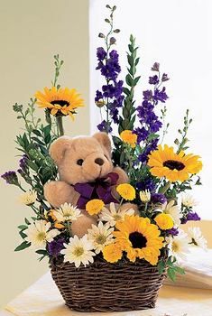 Cuddly Bear in a Basket