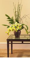 Cymbidium Arrangemnts Cymbidium Arrangemnts