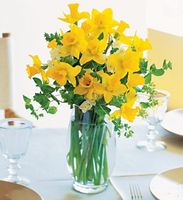 Daffodils Daffodils