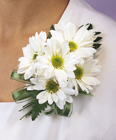 Daisy Corsage