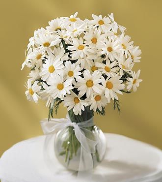 Daisy Vase