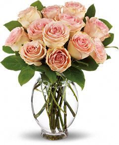  Delicate Dozen